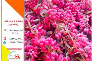 قیمت روز زرشک پفکی و دانه اناری - ۲۹ مهر ۹۸